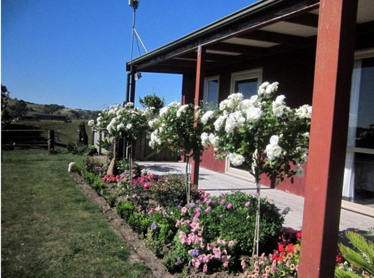 Kauri Lodge Karapiro 部屋 写真