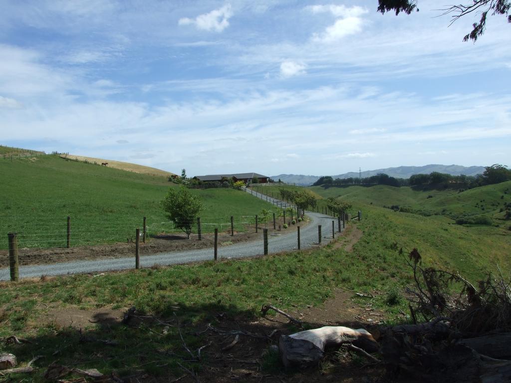 Kauri Lodge Karapiro エクステリア 写真