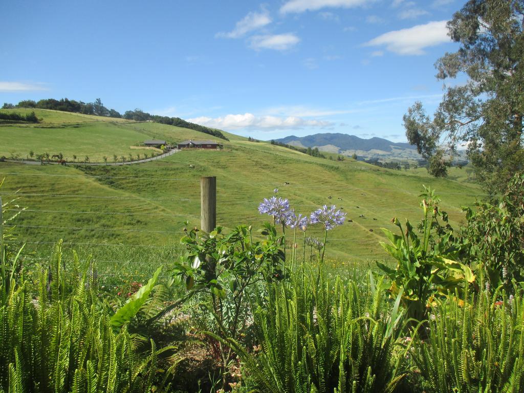Kauri Lodge Karapiro エクステリア 写真