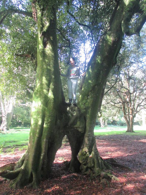 Kauri Lodge Karapiro エクステリア 写真